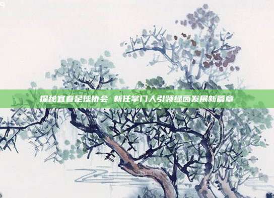 探秘宜春足球协会 新任掌门人引领绿茵发展新篇章