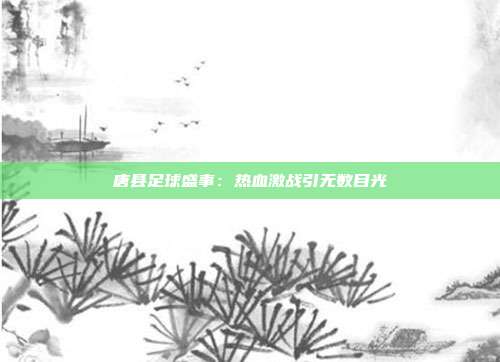 唐县足球盛事：热血激战引无数目光