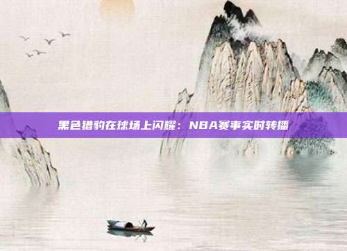 黑色猎豹在球场上闪耀：NBA赛事实时转播