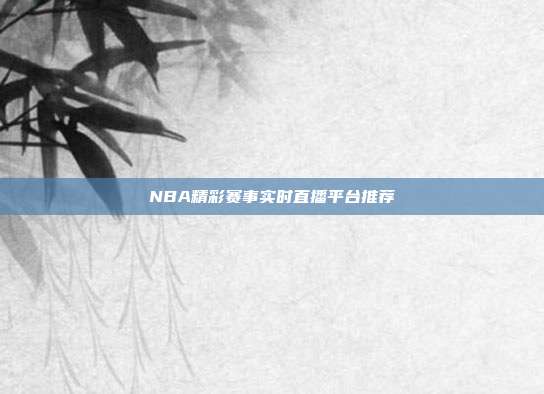 NBA精彩赛事实时直播平台推荐