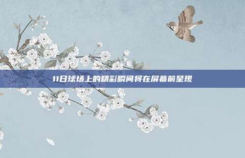 11日球场上的精彩瞬间将在屏幕前呈现