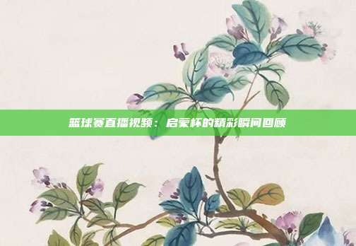 篮球赛直播视频：启蒙杯的精彩瞬间回顾