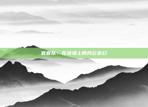 宜春队：在球场上的风云变幻