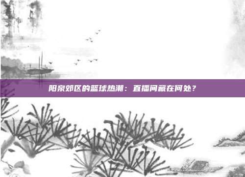 阳泉郊区的篮球热潮：直播间藏在何处？