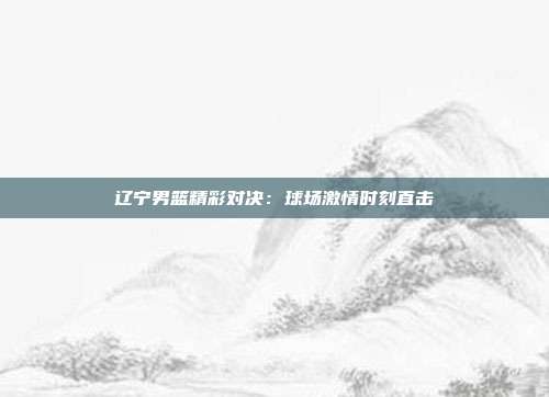 辽宁男篮精彩对决：球场激情时刻直击