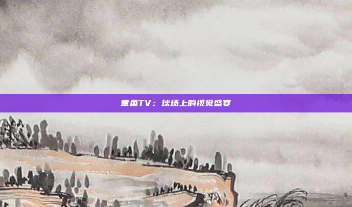 章鱼TV：球场上的视觉盛宴