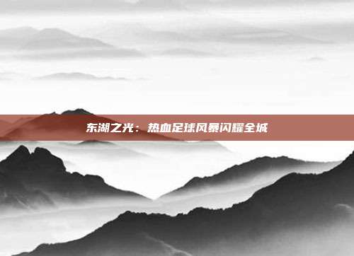 东湖之光：热血足球风暴闪耀全城