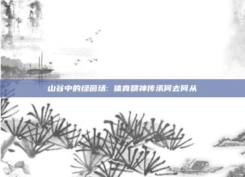 山谷中的绿茵场: 体育精神传承何去何从