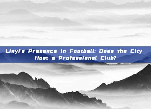 Linyi's Presence in Football: Does the City Host a Professional Club?