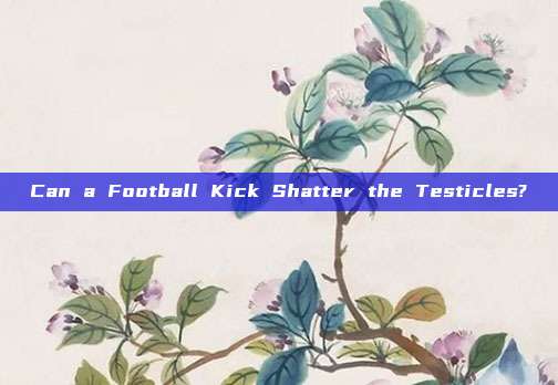 Can a Football Kick Shatter the Testicles?