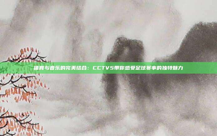 体育与音乐的完美结合：CCTV5带你感受足球赛事的独特魅力