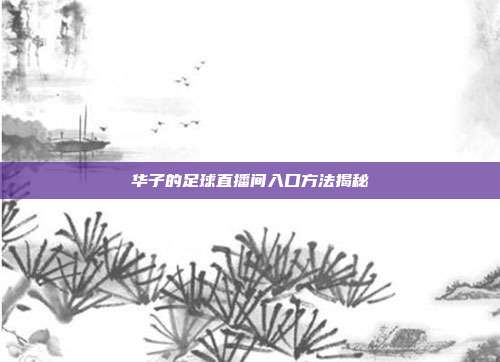 华子的足球直播间入口方法揭秘