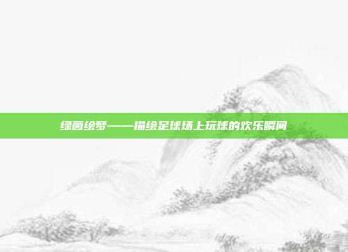 绿茵绘梦——描绘足球场上玩球的欢乐瞬间