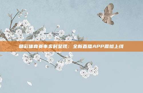 精彩体育赛事实时呈现：全新直播APP震撼上线