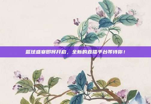 篮球盛宴即将开启，全新的直播平台等待你！