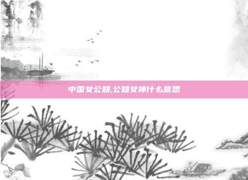 中国女公知,公知女神什么意思