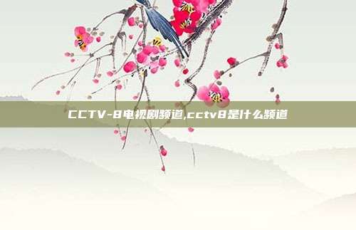 CCTV-8电视剧频道,cctv8是什么频道