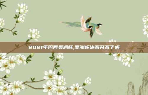 2021年巴西美洲杯,美洲杯决赛开赛了吗