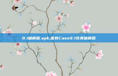 9.1破解版.apk,谁有Cass9.1完美破解版