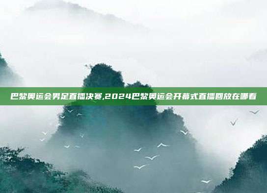 巴黎奥运会男足直播决赛,2024巴黎奥运会开幕式直播回放在哪看