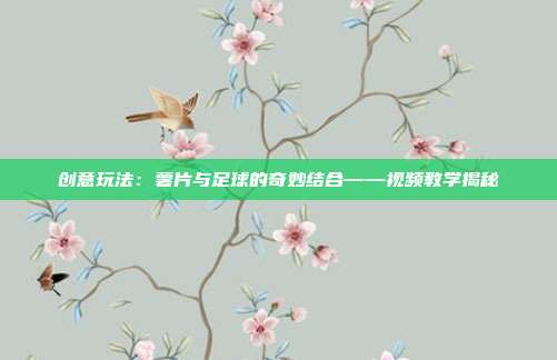 创意玩法：薯片与足球的奇妙结合——视频教学揭秘