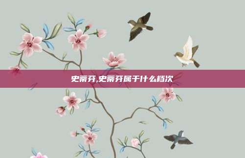 史蒂芬,史蒂芬属于什么档次