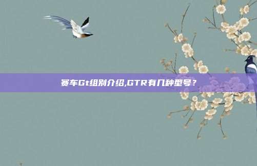 赛车Gt组别介绍,GTR有几种型号？