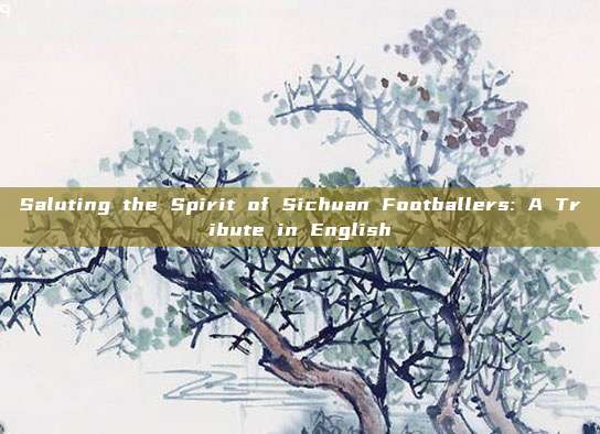 Saluting the Spirit of Sichuan Footballers: A Tribute in English