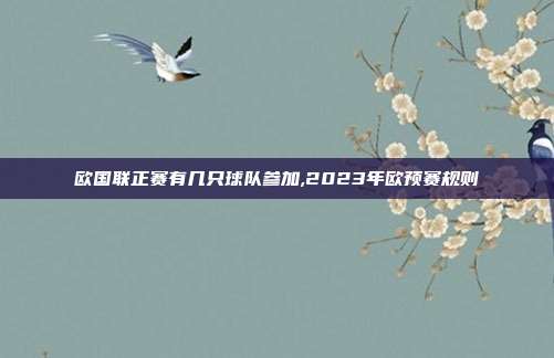 欧国联正赛有几只球队参加,2023年欧预赛规则