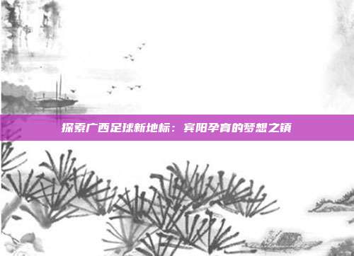 探索广西足球新地标：宾阳孕育的梦想之镇