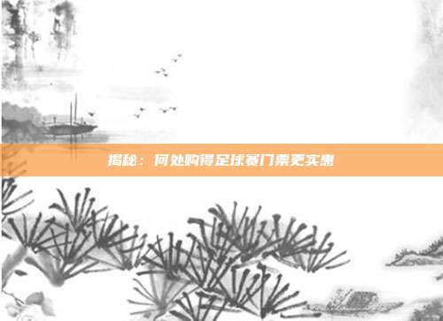 揭秘：何处购得足球赛门票更实惠