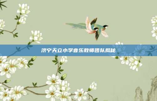 济宁天立小学音乐教师团队揭秘