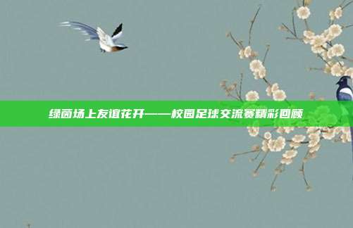 绿茵场上友谊花开——校园足球交流赛精彩回顾