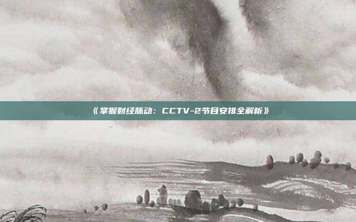 《掌握财经脉动：CCTV-2节目安排全解析》