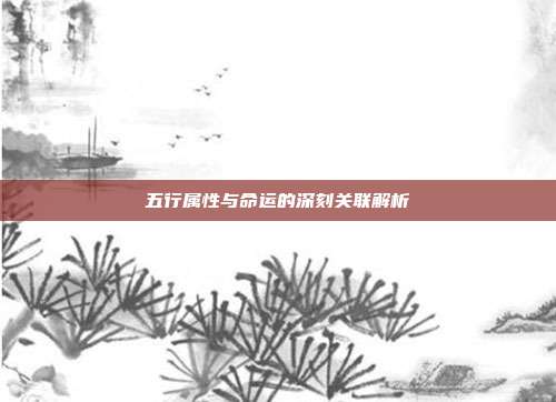 五行属性与命运的深刻关联解析