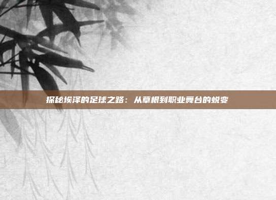 探秘埃泽的足球之路：从草根到职业舞台的蜕变