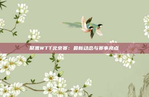 聚焦WTT北京赛：最新动态与赛事亮点