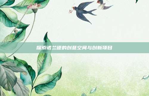 探索诺兰德的创意空间与创新项目