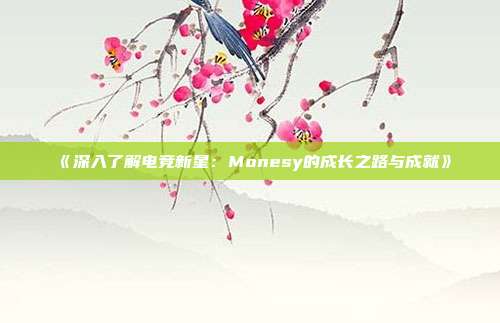 《深入了解电竞新星：Monesy的成长之路与成就》