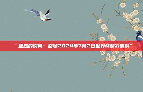 “难忘的瞬间：回顾2024年7月2日世界杯精彩时刻”