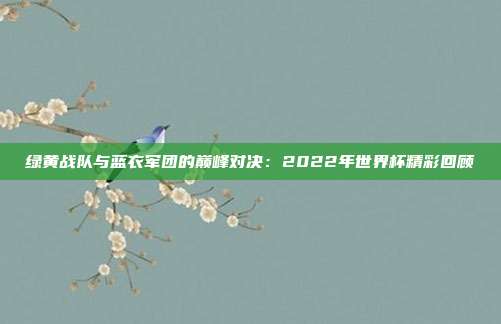 绿黄战队与蓝衣军团的巅峰对决：2022年世界杯精彩回顾