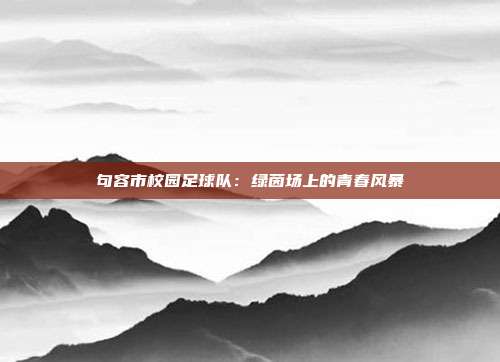 句容市校园足球队：绿茵场上的青春风暴