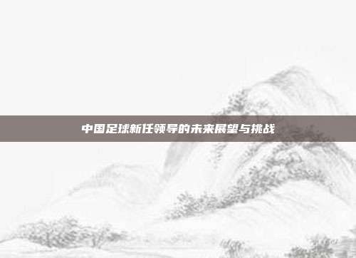 中国足球新任领导的未来展望与挑战