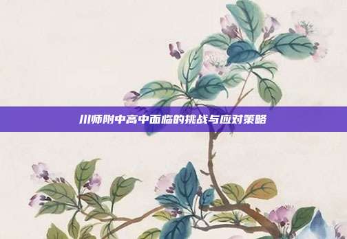 川师附中高中面临的挑战与应对策略