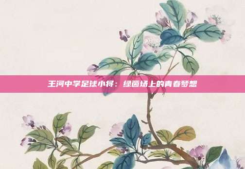 王河中学足球小将：绿茵场上的青春梦想