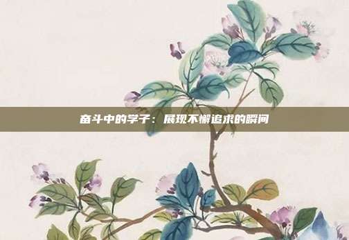 奋斗中的学子：展现不懈追求的瞬间