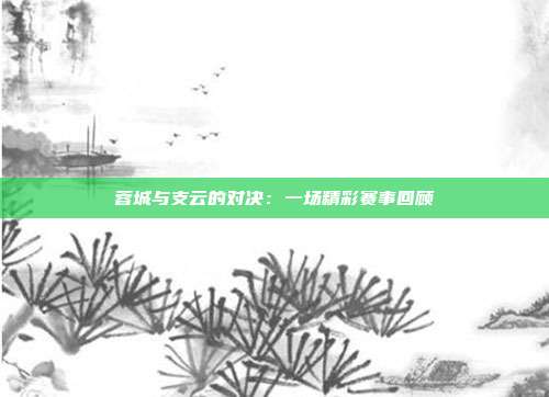 蓉城与支云的对决：一场精彩赛事回顾