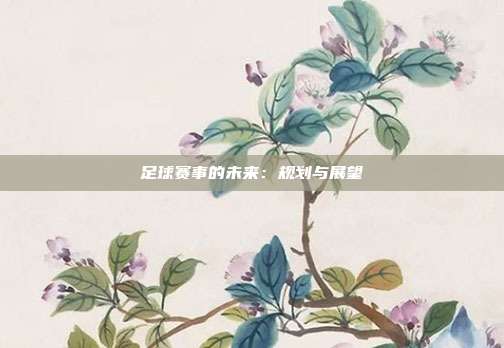 足球赛事的未来：规划与展望