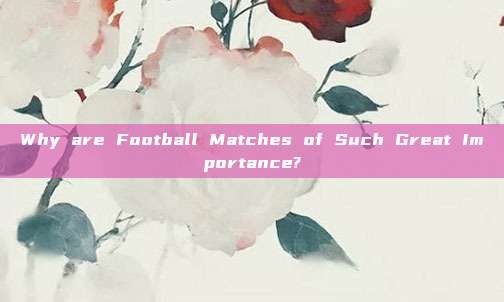 Why are Football Matches of Such Great Importance?