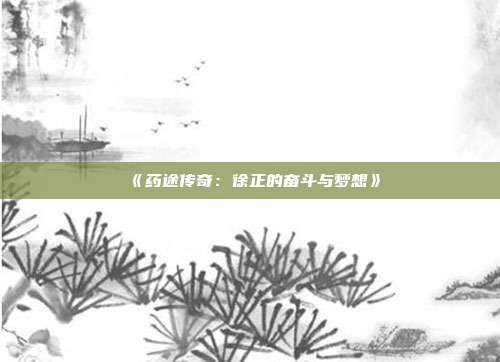 《药途传奇：徐正的奋斗与梦想》